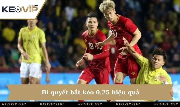 bi quyet bat keo 0 25 hieu qua Bí quyết bắt kèo 0.25 hiệu quả