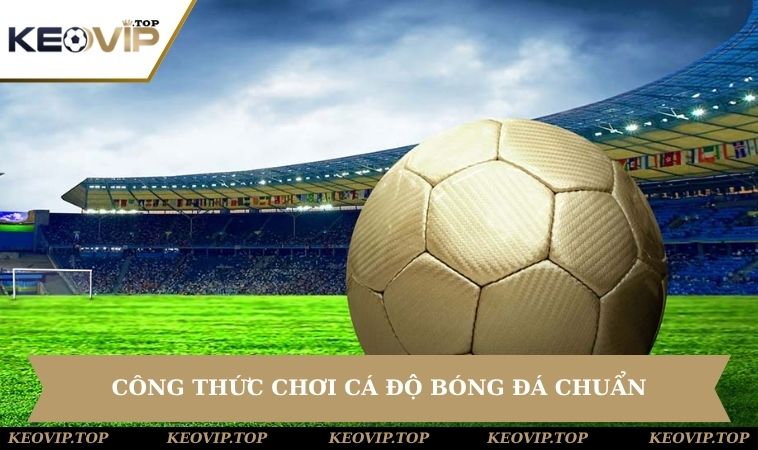 bi quyet ca cuoc bong da cong thuc choi Học hỏi một số công thức chơi cá độ chuẩn chỉnh