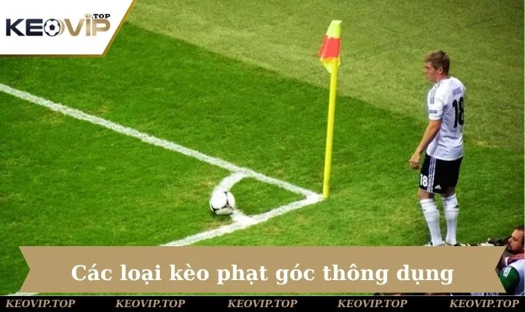 cac loai keo phat goc thong dung Tổng hợp những hình thức cược thường thấy của Corner Kick