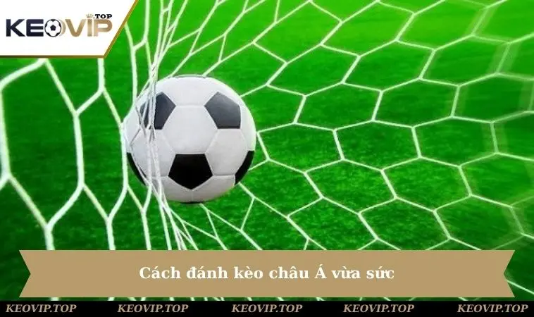 cach danh keo chau a vua suc Cách đánh kèo châu Á vừa sức