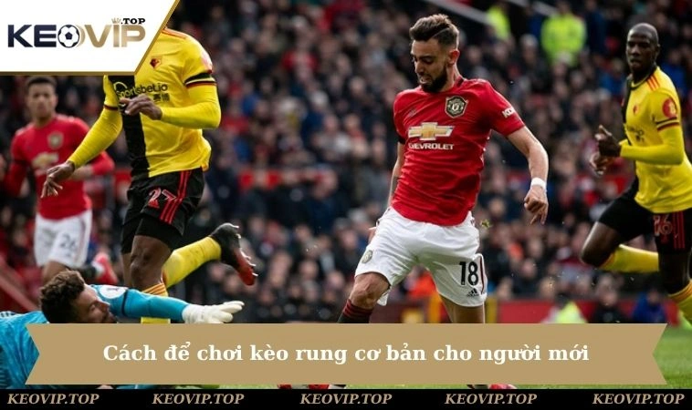 cach de choi keo rung co ban cho nguoi moi Cách để chơi kèo rung cơ bản cho người mới