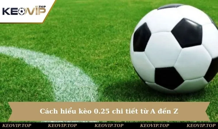 cach hieu keo 0 25 chi tiet tu a den z Cách hiểu kèo 0.25 chi tiết từ A đến Z