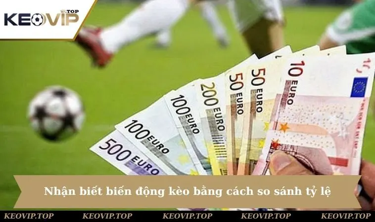 cach nhan biet bien dong keo nha cai bang cach so sanh ty le Cách nhận biết biến động kèo nhà cái bằng cách so sánh tỷ lệ
