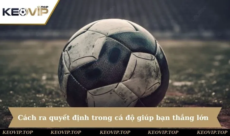 cach ra quyet dinh ca do giup ban de thang lon Cách ra quyết định trong cá độ giúp bạn dễ thắng lớn cá cược