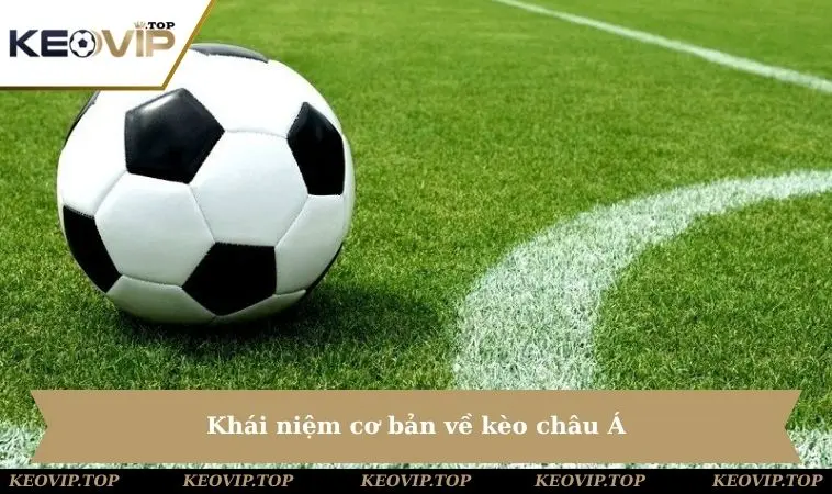 khai niem co ban ve keo chau a Khái niệm cơ bản về kèo châu Á