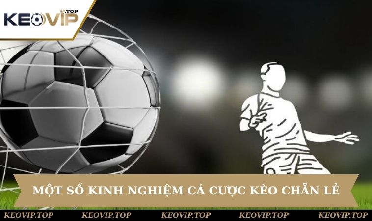 kinh nghiem cuoc keo chan le Học hỏi kinh nghiệm cá cược từ chuyên gia