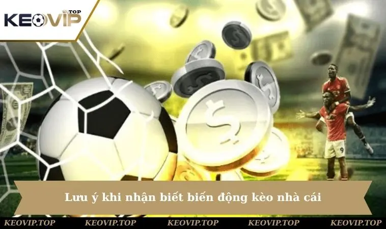 luu y khi nhan biet bien dong keo nha cai Lưu ý khi nhận biết biến động kèo nhà cái