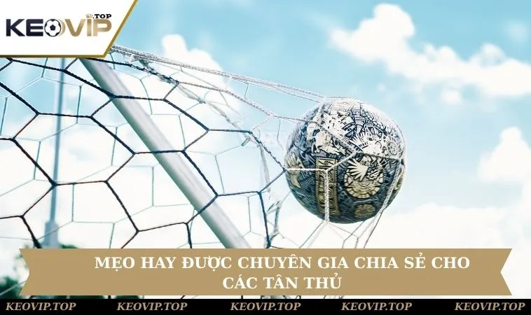 meo choi chia se keo ban thang dau tien Mẹo hay được chuyên gia chia sẻ cho các tân thủ