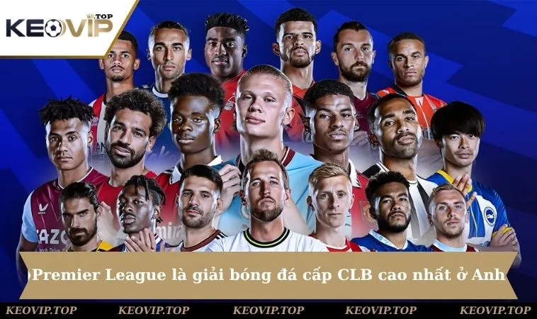 premier league la giai bong da cap clb cao nhat o anh Premier League là giải bóng đá cấp CLB cao nhất ở Anh