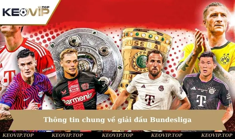 thong tin chung ve giai dau bundesliga Thông tin chung về giải đấu Bundesliga