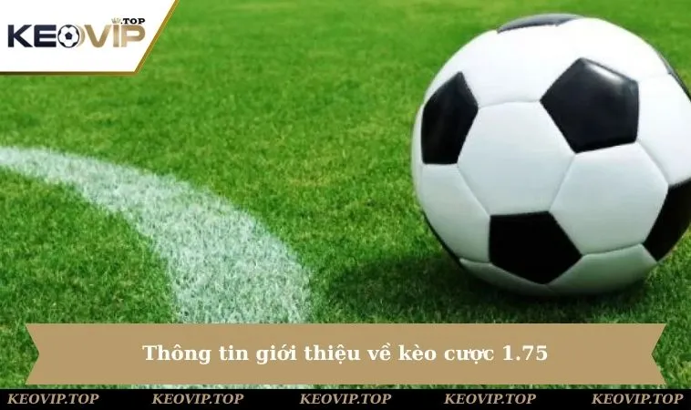 thong tin gioi thieu ve keo cuoc 1 75 Thông tin giới thiệu về kèo cược 1.75