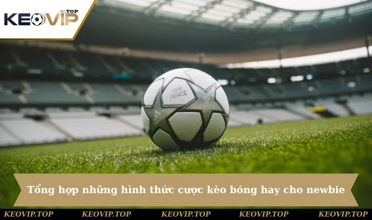 tong hop nhung hinh thuc cuoc keo bong hay cho newbie Tổng hợp những hình thức cược kèo bóng hay cho newbie