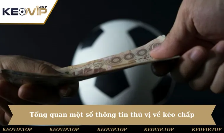 tong quan mot so thong tin thu vi ve keo chap Tổng quan một số thông tin thú vị về kèo chấp