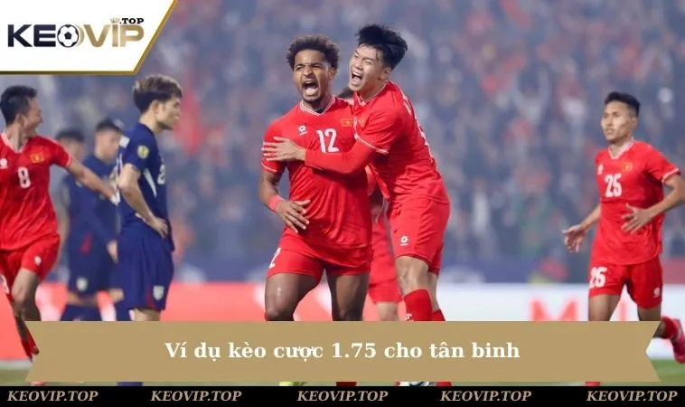 vi du keo cuoc 1 75 cho tan binh Ví dụ kèo cược 1.75 cho tân binh