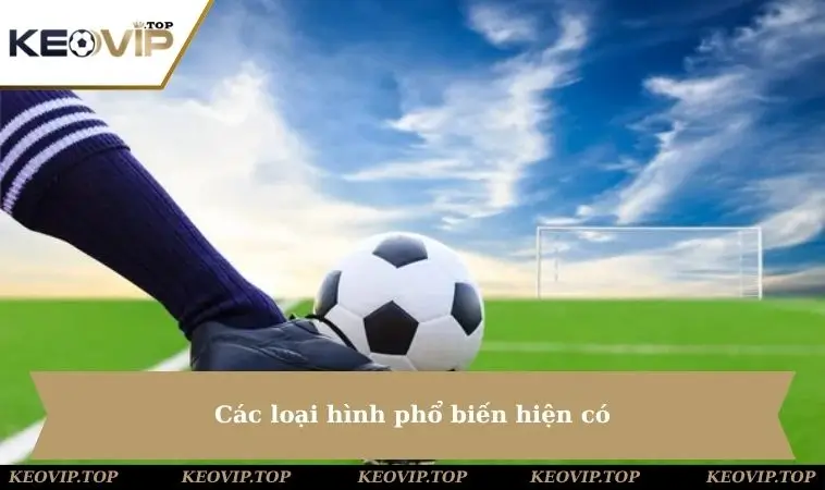 cac loai hinh pho bien hien co Các loại hình phổ biến hiện có