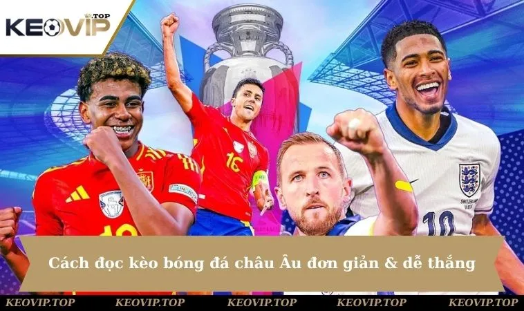 Cách đọc kèo bóng đá châu Âu đơn giản & dễ thắng
