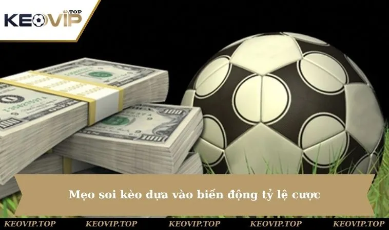 Mẹo soi kèo dựa vào biến động tỷ lệ cược