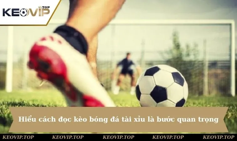Hiểu rõ cách đọc kèo bóng đá tài xỉu là bước đầu rất quan trọng