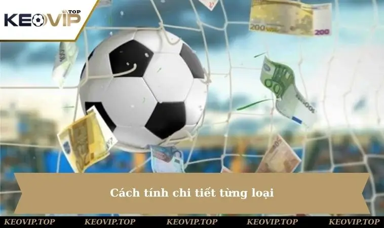 Cách tính chi tiết từng loại