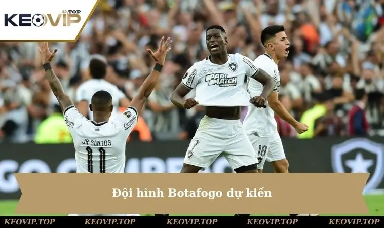 Đội hình Botafogo dự kiến