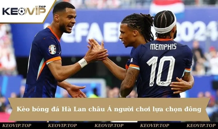 keo bong da ha lan lua chon dong dao nguoi choi 11zon Kèo bóng đá Hà Lan châu Á là lựa chọn quen thuộc với người chơi chuyên nghiệp