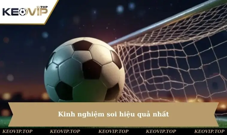 Kinh nghiệm soi hiệu quả nhất