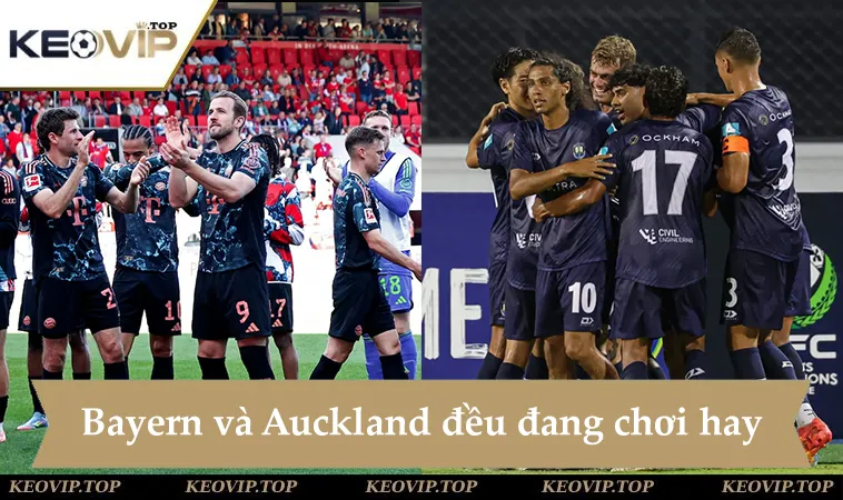soi keo bayern vs auckland city 23h00 ngay 15 6 Soi kèo Bayern vs Auckland City, đội bóng cửa dưới gần như sẽ thảm bại trước đại diện nước Đức