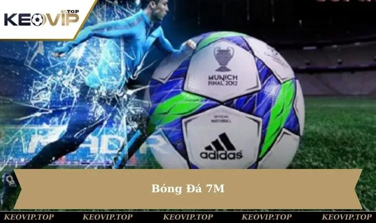 bong-da-7m