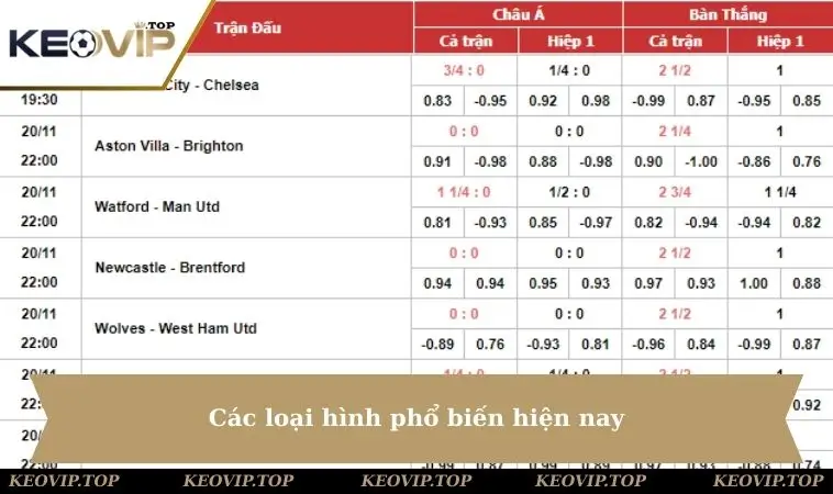 cac loai hinh pho bien hien nay Các loại phổ biến hiện nay