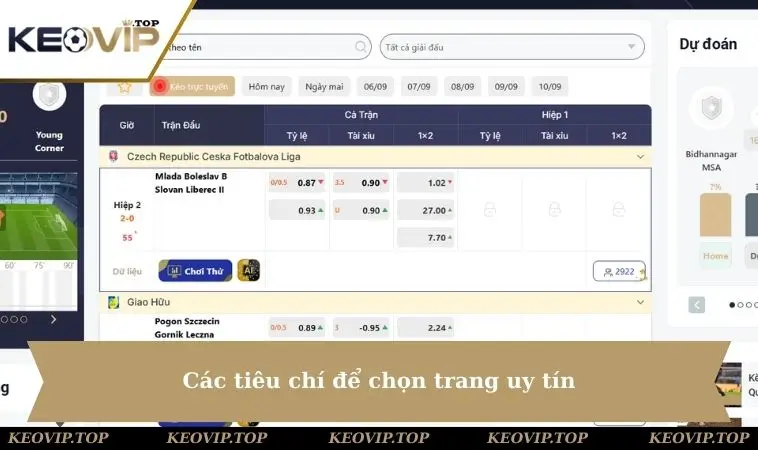cac tieu chi de chon tang uy tin Các tiêu chí để chọn trang uy tín