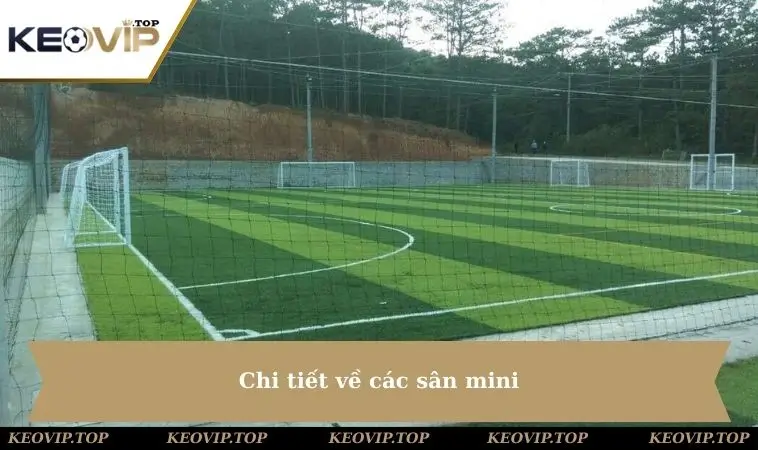 chi tiet ve cac san mini Chi tiết về các sân mini