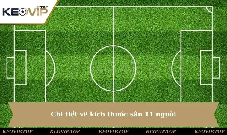 chi tiet ve kich thuoc san 11 nguoi Chi tiết về kích thước sân 11 người