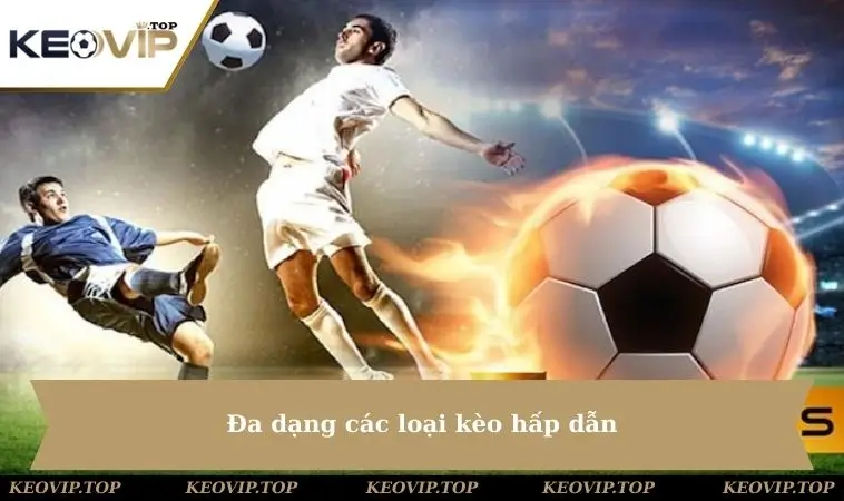 Đa dạng các loại kèo hấp dẫn