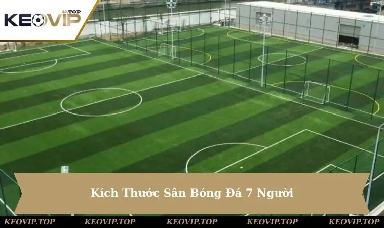 kich-thuoc-san-bong-da-7-nguoi