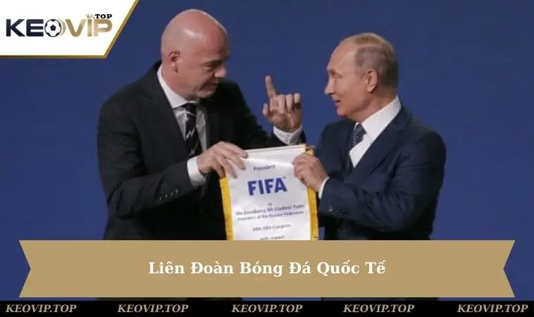 lien-doan-bong-da-quoc-te