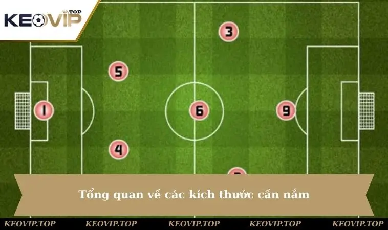 Tổng quan về các kích thước cần nắm