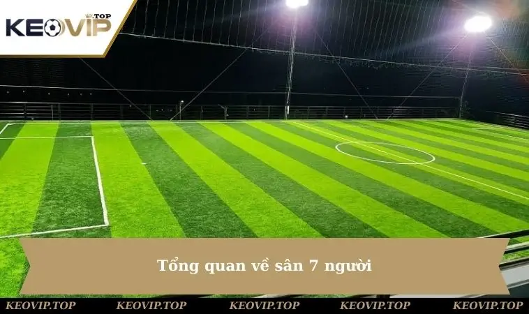 Tổng quan về sân 7 người