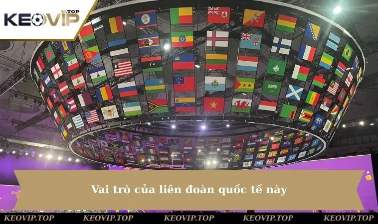 vai tro cua lien doan bong da quoc te Vai trò của liên đoàn quốc tế này