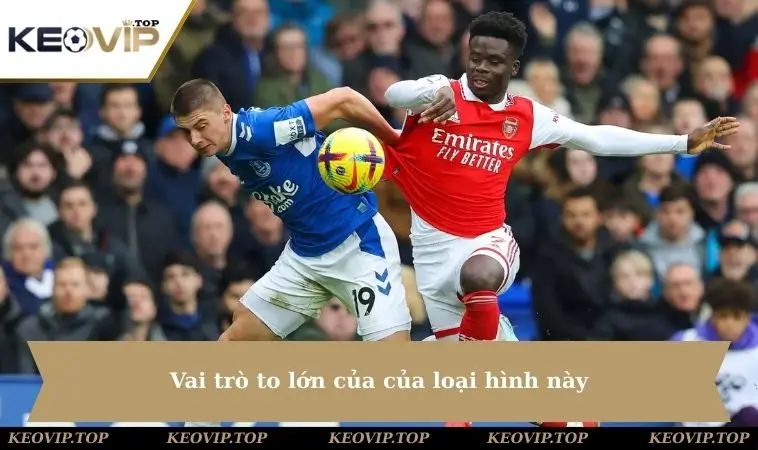 vai tro to lon cua loai hinh nay Vai trò to lớn của của loại hình này