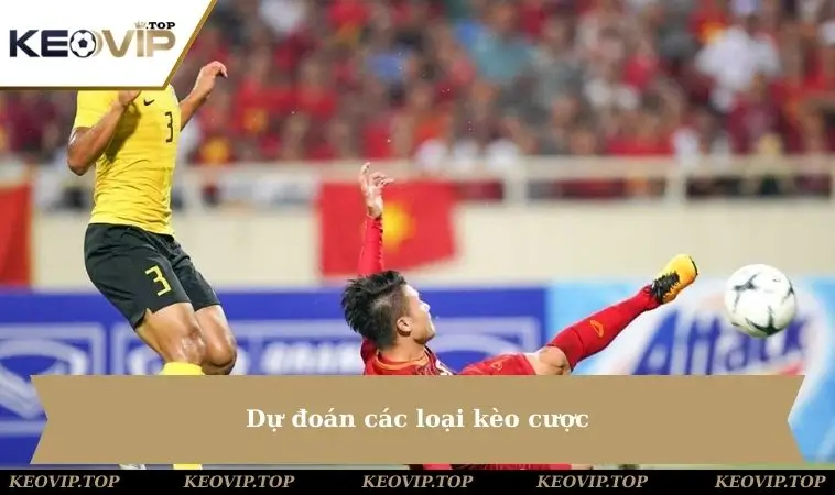 du doan cac loai keo cuoc Dự đoán các loại kèo cược