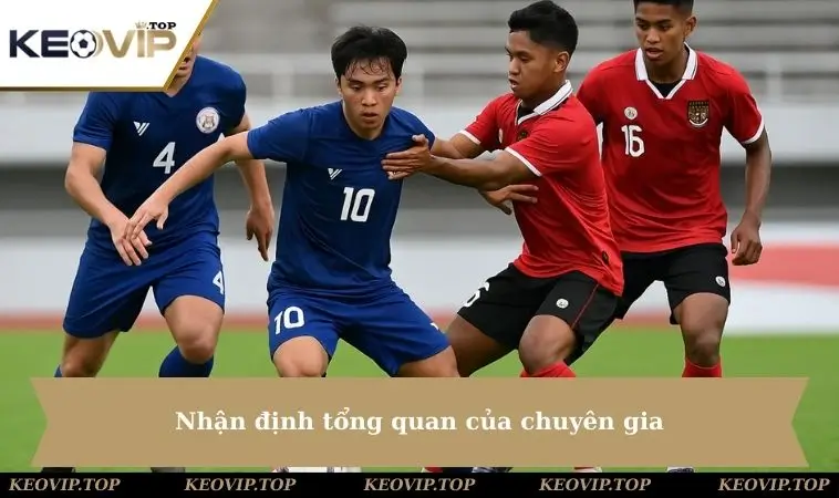 nhan dinh tong quan cua chuyen gia Nhận định của chuyên gia